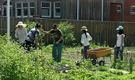 Volunteers working in the garden